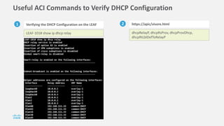 Useful ACI Commands to Verify DHCP Configuration
1 Verifying the DHCP Configuration on the LEAF
LEAF-101# show ip dhcp relay
2 https://apic/visore.html
dhcpRelayP, dhcpRsProv, dhcpProvDhcp,
dhcpRtLblDefToRelayP
 