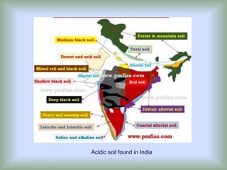 Acidic soil found in India
 