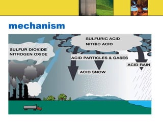 Acidification & acid rain