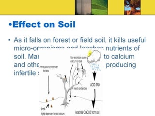 Acidification & acid rain