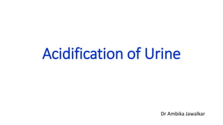 Acidification of Urine
Dr Ambika Jawalkar
 