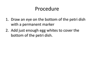 ProcedureDraw an eye on the bottom of the petri dish with a permanent markerAdd just enough egg whites to cover the bottom of the petri dish.