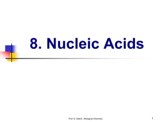 Prof. G. Gilardi - Biological Chemistry 1
8. Nucleic Acids
 