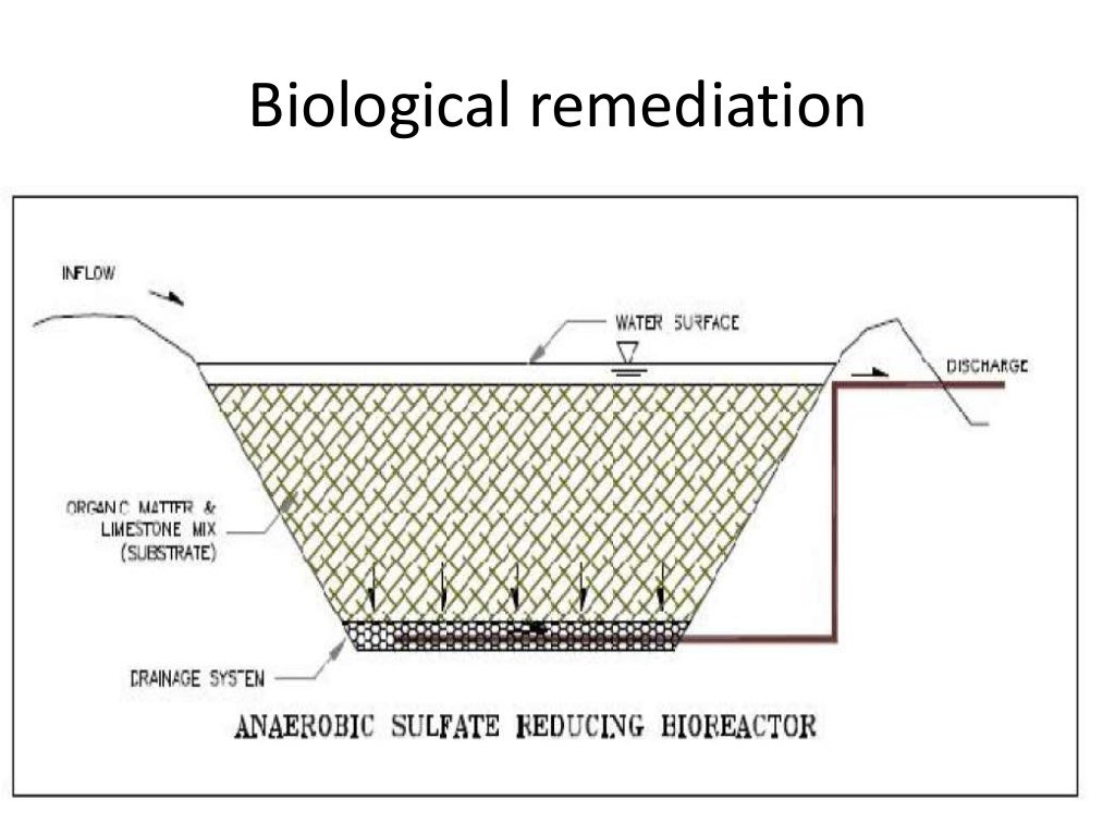 Acid mine drainage occurrence and its remediation