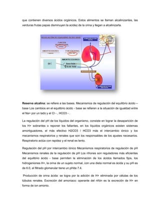 que contienen diversos ácidos orgánicos. Estos alimentos se llaman alcalinizantes, las
verduras frutas papas disminuyen la acidez de la orina y llegan a alcalinizarla.
Reserva alcalina: se refiere a las bases. Mecanismos de regulación del equilibrio ácido –
base Los cambios en el equilibrio ácido - base se refieren a la situación de igualdad entre
el Na+ por un lado y el Cl - , HCO3 - .
La regulación del pH de los líquidos del organismo, consiste en lograr la desaparición de
los H+ sobrantes o reponer los faltantes, en los líquidos orgánicos existen sistemas
amortiguadores, el más efectivo H2CO3 / HCO3 más el intercambio iónico y los
mecanismos respiratorios y renales que son los responsables de los ajustes necesarios.
Respiratorio actúa con rapidez y el renal es lento.
Regulación del pH por intercambio iónico Mecanismos respiratorios de regulación de pH
Mecanismos renales de la regulación de pH Los riñones son reguladores más eficientes
del equilibrio ácido - base permiten la eliminación de los ácidos llamados fijos, los
hidrogeniones H+, la orina de un sujeto normal, con una dieta normal es ácida y su pH es
de 6.0, el filtrado glomerular tiene un pHde 7.4.
Producción de orina ácida: se logra por la adición de H+ eliminada por células de los
túbulos renales. Excreción del amoniaco: operante del riñón es la excreción de H+ en
forma de ion amonio.
 
