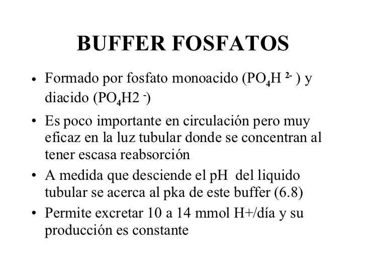 Acido Base 2004