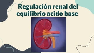 Regulación renal del
equilibrio acido base
 
