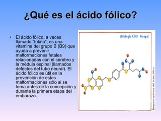 ¿Qué es el ácido fólico? ,[object Object]