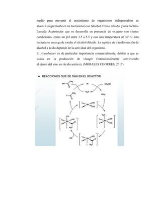medio para prevenir el crecimiento de organismos indispensables es
añadir vinagre fuerte en un biorreactor con Alcohol Etílico diluido, y una bacteria
llamada Acetobacter que se desarrolla en presencia de oxígeno con ciertas
condiciones, como un pH entre 3.5 a 5.5 y con una temperatura de 30° C esta
bacteria se encarga de oxidar el alcohol diluido. La rapidez de transformación de
alcohol a ácido depende de la actividad del organismo.
El Acetobacter es de particular importancia comercialmente, debido a que es
usada en la producción de vinagre (Intencionalmente convirtiendo
el etanol del vino en Ácido acético). (MORALES CHORRES, 2017)
 