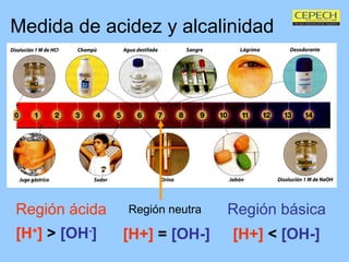 Medida de acidez y alcalinidad Región ácida Región neutra Región básica [H + ]   >  [OH - ]   [H+]  =   [OH-] [H+]   <   [OH-] 
