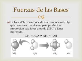 Fuerzas de las Bases 
 
 La base débil más conocida es el amoniaco (NH3), 
que reacciona con el agua para producir en 
proporción baja iones amonio (NH4) e iones 
hidróxido. 
NH3 + H2O  NH4 + ‾OH 
 
