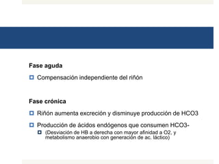 Fase aguda
 Compensación independiente del riñón
Fase crónica
 Riñón aumenta excreción y disminuye producción de HCO3
 Producción de ácidos endógenos que consumen HCO3-
 (Desviación de HB a derecha con mayor afinidad a O2, y
metabolismo anaerobio con generación de ac. láctico)
 