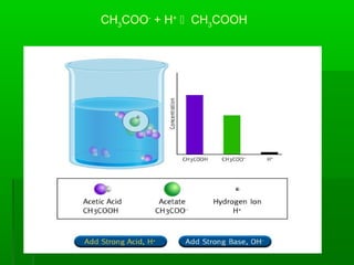 CH3
COO-
+ H+
 CH3
COOH
 