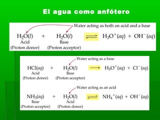 El agua como anfótero
 