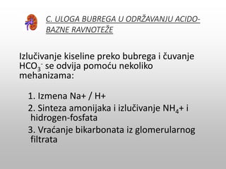 C. ULOGA BUBREGA U ODRŽAVANJU ACIDO-
BAZNE RAVNOTEŽE
Izlučivanje kiseline preko bubrega i čuvanje
HCO3
- se odvija pomoću nekoliko
mehanizama:
1. Izmena Na+ / H+
2. Sinteza amonijaka i izlučivanje NH4+ i
hidrogen-fosfata
3. Vraćanje bikarbonata iz glomerularnog
filtrata
 