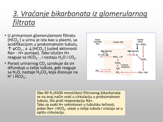 3. Vraćanje bikarbonata iz glomerularnog
filtrata
• U primarnom glomerularnom filtratu
[HCO3
-] u urinu je ista kao u plazmi, sa
acidifikacijom u proksimalnom tubulu,
↑ pCO2 , a ↓[HCO3
-] (usled aktivnosti
Na+ - H+ pumpe). Tako izlučen H+
reaguje sa HCO3- , i nastaju H2O i CO2.
• Porast urinarnog CO2 uzrokuje da on
difunduje u ćelije tubula, gde reaguje
sa H2O, nastaje H2CO3 koja disosuje na
H+ i HCO3
-.
Oko 90 % (4500 mmol/dan) filtriranog bikarbonata
se na ovaj način vrati u cirkulaciju u proksimalnom
tubulu, što prati reapsorpciju Na+.
Tako za svaki H+ sekretovan u tubulsku tečnost,
jedan Na+ i HCO3- ulaze u ćelije tubula i vraćaju se u
opštu cirkulaciju.
 