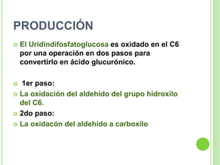 PRODUCCIÓN
 El Uridindifosfatoglucosa es oxidado en el C6
por una operación en dos pasos para
convertirlo en ácido glucurónico.
 1er paso:
 La oxidación del aldehído del grupo hidroxilo
del C6.
 2do paso:
 La oxidacón del aldehído a carboxilo
 