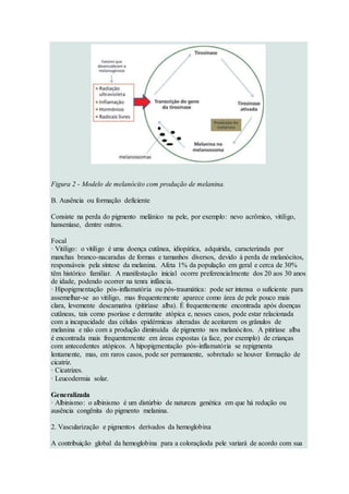 Figura 2 - Modelo de melanócito com produção de melanina.
B. Ausência ou formação deficiente
Consiste na perda do pigmento melânico na pele, por exemplo: nevo acrômico, vitiligo,
hanseníase, dentre outros.
Focal
· Vitiligo: o vitiligo é uma doença cutânea, idiopática, adquirida, caracterizada por
manchas branco-nacaradas de formas e tamanhos diversos, devido à perda de melanócitos,
responsáveis pela síntese da melanina. Afeta 1% da população em geral e cerca de 30%
têm histórico familiar. A manifestação inicial ocorre preferencialmente dos 20 aos 30 anos
de idade, podendo ocorrer na tenra infância.
· Hipopigmentação pós-inflamatória ou pós-traumática: pode ser intensa o suficiente para
assemelhar-se ao vitiligo, mas frequentemente aparece como área de pele pouco mais
clara, levemente descamativa (pitiríase alba). É frequentemente encontrada após doenças
cutâneas, tais como psoríase e dermatite atópica e, nesses casos, pode estar relacionada
com a incapacidade das células epidérmicas alteradas de aceitarem os grânulos de
melanina e não com a produção diminuída de pigmento nos melanócitos. A pitiríase alba
é encontrada mais frequentemente em áreas expostas (a face, por exemplo) de crianças
com antecedentes atópicos. A hipopigmentação pós-inflamatória se repigmenta
lentamente, mas, em raros casos, pode ser permanente, sobretudo se houver formação de
cicatriz.
· Cicatrizes.
· Leucodermia solar.
Generalizada
· Albinismo: o albinismo é um distúrbio de natureza genética em que há redução ou
ausência congênita do pigmento melanina.
2. Vascularização e pigmentos derivados da hemoglobina
A contribuição global da hemoglobina para a coloraçãoda pele variará de acordo com sua
 