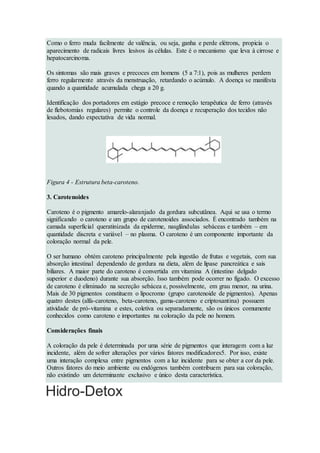 Como o ferro muda facilmente de valência, ou seja, ganha e perde elétrons, propicia o
aparecimento de radicais livres lesivos às células. Este é o mecanismo que leva à cirrose e
hepatocarcinoma.
Os sintomas são mais graves e precoces em homens (5 a 7:1), pois as mulheres perdem
ferro regularmente através da menstruação, retardando o acúmulo. A doença se manifesta
quando a quantidade acumulada chega a 20 g.
Identificação dos portadores em estágio precoce e remoção terapêutica de ferro (através
de flebotomias regulares) permite o controle da doença e recuperação dos tecidos não
lesados, dando expectativa de vida normal.
Figura 4 - Estrutura beta-caroteno.
3. Carotenoides
Caroteno é o pigmento amarelo-alaranjado da gordura subcutânea. Aqui se usa o termo
significando o caroteno e um grupo de carotenoides associados. É encontrado também na
camada superficial queratinizada da epiderme, nasglândulas sebáceas e também – em
quantidade discreta e variável – no plasma. O caroteno é um componente importante da
coloração normal da pele.
O ser humano obtém caroteno principalmente pela ingestão de frutas e vegetais, com sua
absorção intestinal dependendo de gordura na dieta, além de lipase pancreática e sais
biliares. A maior parte do caroteno é convertida em vitamina A (intestino delgado
superior e duodeno) durante sua absorção. Isso também pode ocorrer no fígado. O excesso
de caroteno é eliminado na secreção sebácea e, possivelmente, em grau menor, na urina.
Mais de 30 pigmentos constituem o lipocromo (grupo carotenoide de pigmentos). Apenas
quatro destes (alfa-caroteno, beta-caroteno, gama-caroteno e criptoxantina) possuem
atividade de pró-vitamina e estes, coletiva ou separadamente, são os únicos comumente
conhecidos como caroteno e importantes na coloração da pele no homem.
Considerações finais
A coloração da pele é determinada por uma série de pigmentos que interagem com a luz
incidente, além de sofrer alterações por vários fatores modificadores5. Por isso, existe
uma interação complexa entre pigmentos com a luz incidente para se obter a cor da pele.
Outros fatores do meio ambiente ou endógenos também contribuem para sua coloração,
não existindo um determinante exclusivo e único desta característica.
Hidro-Detox
 