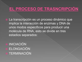 

La transcripción es un proceso dinámico que
implica la interacción de enzimas y DNA de
unos modos específicos para producir una
molécula de RNA, esto se divide en tres
estadios separados:

INICIACIÓN
 ELONGACIÓN
 TERMINACIÓN


 