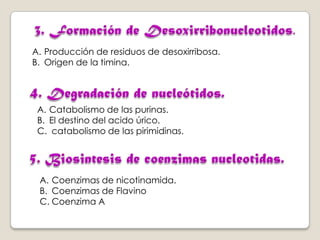 A. Producción de residuos de desoxirribosa.
B. Origen de la timina.

A. Catabolismo de las purinas.
B. El destino del acido úrico.
C. catabolismo de las pirimidinas.

A. Coenzimas de nicotinamida.
B. Coenzimas de Flavino
C. Coenzima A

 