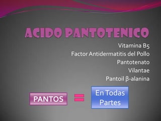 ACIDO PANTOTENICO Vitamina B5 Factor Antidermatitis del Pollo Pantotenato Vilantae  Pantoil β-alanina En Todas Partes PANTOS  
