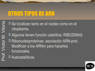 Prof. Víctor M. Vitoria

OTROS TIPOS DE ARN
 Se localizan tanto en el núcleo como en el

citoplasma.
 Algunos tienen función catalítica: RIBOZIMAS.
 Ribonucleoproteínas: asociación ARN-prot.
Modifican a los ARNm para hacerlos
funcionales.
 Autocatalíticos.
16/10/13

11

 