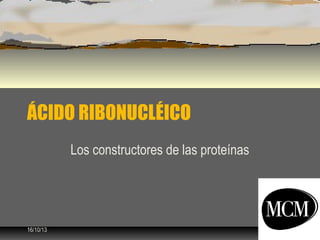 ÁCIDO RIBONUCLÉICO
Los constructores de las proteínas

16/10/13

1

 