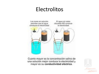 Electrolitos
 