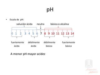 pH
• Escala de pH:
solución ácida neutra básica o alcalina
0 1 2 3 4 5 6 7 8 9 10 11 12 13 14
fuertemente débilmente débilmente fuertemente
ácida ácida básica básica
A menor pH mayor acidez
 