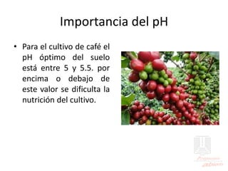 Importancia del pH
• Para el cultivo de café el
pH óptimo del suelo
está entre 5 y 5.5. por
encima o debajo de
este valor se dificulta la
nutrición del cultivo.
 