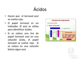 Ácidos
• Hacen que el tornasol azul
se vuelva rojo.
• El papel tornasol es un
indicador. El azul se utiliza
para identificar ácidos.
• Si se coloca una tira de
papel tornasol azul en una
solución ácida, el papel
tornasol se vuelve rojo. Si
se coloca en una solución
básica sigue azul.
 