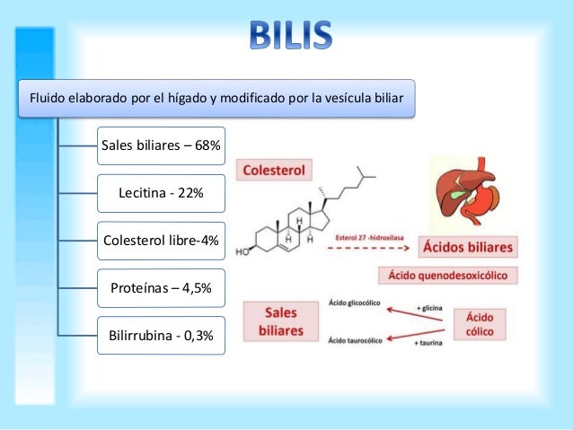 Acidos biliares Acidos biliares