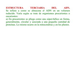ESTRUCTURA TERCIARIA DEL ADN. Se refiere a como se almacena el ADN en un volumen reducido. Varía según se trate de organismos procariontes o eucariontes: a) En procariontes se pliega como una súper-hélice en forma, generalmente, circular y asociada a una pequeña cantidad de proteínas. Lo mismo ocurre en la mitocondrias y en los plastos. 
