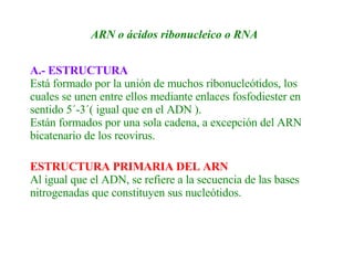 ARN o ácidos ribonucleico o RNA   A.- ESTRUCTURA Está formado por la unión de muchos ribonucleótidos, los cuales se unen entre ellos mediante enlaces fosfodiester en sentido 5´-3´( igual que en el ADN ). Están formados por una sola cadena, a excepción del ARN bicatenario de los reovirus.   ESTRUCTURA PRIMARIA DEL ARN Al igual que el ADN, se refiere a la secuencia de las bases nitrogenadas que constituyen sus nucleótidos.   