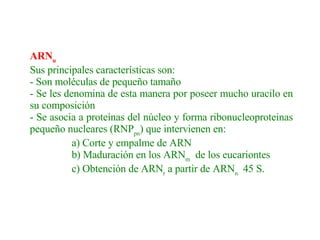 ARN u   Sus principales características son: - Son moléculas de pequeño tamaño - Se les denomina de esta manera por poseer mucho uracilo en su composición - Se asocia a proteínas del núcleo y forma ribonucleoproteinas pequeño nucleares (RNP pn ) que intervienen en:                  a) Corte y empalme de ARN                  b) Maduración en los ARN m   de los eucariontes                  c) Obtención de ARN r  a partir de ARN n   45 S.     