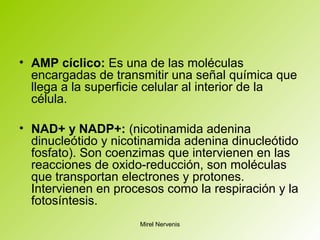 • AMP cíclico: Es una de las moléculas
encargadas de transmitir una señal química que
llega a la superficie celular al interior de la
célula.
• NAD+ y NADP+: (nicotinamida adenina
dinucleótido y nicotinamida adenina dinucleótido
fosfato). Son coenzimas que intervienen en las
reacciones de oxido-reducción, son moléculas
que transportan electrones y protones.
Intervienen en procesos como la respiración y la
fotosíntesis.
Mirel Nervenis
 