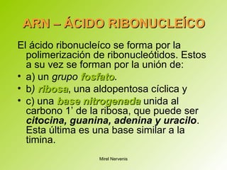 ARN – ÁCIDO RIBONUCLEÍCOARN – ÁCIDO RIBONUCLEÍCO
El ácido ribonucleíco se forma por la
polimerización de ribonucleótidos. Estos
a su vez se forman por la unión de:
• a) un grupo fosfatofosfato.
• b) ribosaribosa, una aldopentosa cíclica y
• c) una basebase nitrogenadanitrogenada unida al
carbono 1’ de la ribosa, que puede ser
citocina, guanina, adenina y uracilo.
Esta última es una base similar a la
timina.
Mirel Nervenis
 