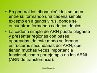 • En general los ribonucleótidos se unen
entre sí, formando una cadena simple,
excepto en algunos virus, donde se
encuentran formando cadenas dobles.
• La cadena simple de ARN puede plegarse
y presentar regiones con bases
apareadas, de este modo se forman
estructuras secundarias del ARN, que
tienen muchas veces importancia
funcional, como por ejemplo en los ARNt
(ARN de transferencia).
Mirel Nervenis
 