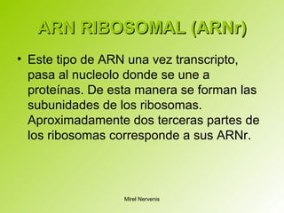 ARN RIBOSOMAL (ARNr)ARN RIBOSOMAL (ARNr)
• Este tipo de ARN una vez transcripto,
pasa al nucleolo donde se une a
proteínas. De esta manera se forman las
subunidades de los ribosomas.
Aproximadamente dos terceras partes de
los ribosomas corresponde a sus ARNr.
Mirel Nervenis
 