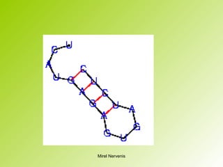 Mirel Nervenis
 