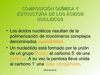 COMPOSICIÓN QUÍMICA YCOMPOSICIÓN QUÍMICA Y
ESTRUCTURA DE LOS ÁCIDOSESTRUCTURA DE LOS ÁCIDOS
NUCLEICOSNUCLEICOS
• Los ácidos nucléicos resultan de la
polimerización de monómeros complejos
denominados nucleótidos.
• Un nucleótido está formado por la unión
de un grupo fosfato al carbono 5’ de una
pentosa. A su vez la pentosa lleva unida
al carbono 1’ una base nitrogenada.
Mirel Nervenis
 