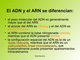El ADN y el ARN se diferencian:
• el peso molecular del ADN es generalmente
mayor que el del ARN
• el azúcar del ARN es ribosa, y el del ADN es
desoxirribosa
• el ARN contiene la base nitrogenada uracilo,
mientras que el ADN presenta timina
• la configuración espacial del ADN es la de un
doble helicoidedoble helicoide, mientras que el ARN es un
polinucleótidopolinucleótido lineallineal monocatenariomonocatenario, que
ocasionalmente puede presentar apareamientos
intracatenarios
Mirel Nervenis
 