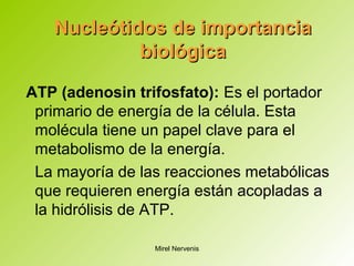 ATP (adenosin trifosfato): Es el portador
primario de energía de la célula. Esta
molécula tiene un papel clave para el
metabolismo de la energía.
La mayoría de las reacciones metabólicas
que requieren energía están acopladas a
la hidrólisis de ATP.
Nucleótidos de importanciaNucleótidos de importancia
biológicabiológica
Mirel Nervenis
 