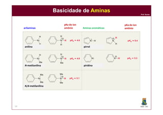 DQOI - UFC
Prof. Nunes
Basicidade de Aminas
54
arilaminas Aminas aromáticas
pKa do íon
amônio
pKa do íon
amônio
anilina
N-metilanilina
N,N-metilanilina
pirrol
piridina
 