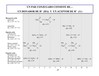 UN PAR CONJUGADO CONSISTE DE…
UN DONADOR DE H+ (HA) Y UN ACEPTOR DE H+ (A-)
 
