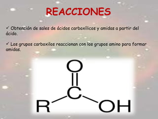 REACCIONES
 Obtención de sales de ácidos carboxílicos y amidas a partir del
ácido.
 Los grupos carboxilos reaccionan con los grupos amino para formar
amidas.
 