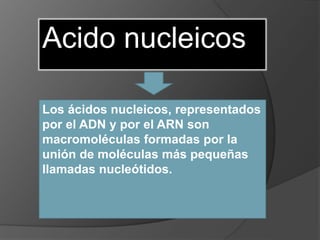 Acido nucleicos
Los ácidos nucleicos, representados
por el ADN y por el ARN son
macromoléculas formadas por la
unión de moléculas más pequeñas
llamadas nucleótidos.
 