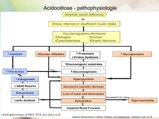 Acidocétose - pathophysiologie
Diabetic Ketoacidosis in Infants, Children, and Adolescents ; Diabetes Care vol.29
 