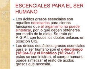 ESCENCIALES PARA EL SER
HUMANO




Los ácidos grasos esenciales son
aquellos necesarios para ciertas
funciones que el organismo no puede
sintetizar, por lo que deben obtenerse
por medio de la dieta. Se trata de
A.G.P.I. con todos los dobles enlaces en
posición CIS.
Los únicos dos ácidos grasos esenciales
para el ser humano son el α-linolénico
(18:3ω-3) y el linoléico (18:2ω-6). Si
estos se suministran, el cuerpo humano
puede sintetizar el resto de ácidos
grasos que necesita.

 